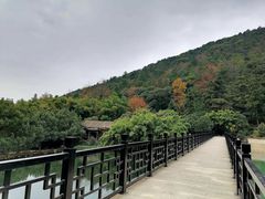 -九龙潭景区