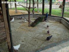 -意大利农场度假村