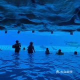 珠海长隆海洋王国必住长隆旗舰横琴湾酒店❗️