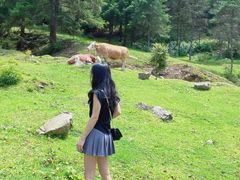 -硗碛藏寨·神木垒景区