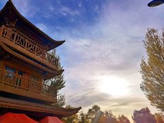 -金塔沙漠胡杨林景区