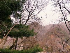 -秦岭终南山世界地质公园翠华山景区