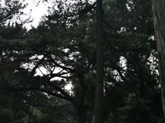 -红螺寺