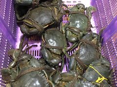 -龙海鲜螃蟹王(宏茂桥店)