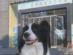 -吾穆勒蓬灰牛肉面·清真(北滨河中路店)