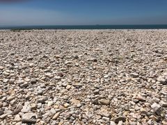 -沔阳会馆(沔街店)