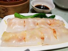 -南枝记