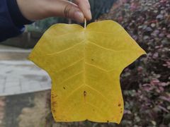 -苏州河梦清园环保主题公园