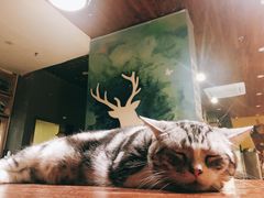 -咖法森林·咖啡  酒吧(天河店)