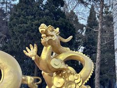 -北京世界公园
