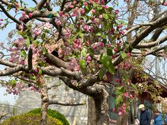 -元大都城垣遗址公园