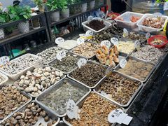 -健跳小海鲜(人民路店)