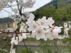 -湘湖金融镇