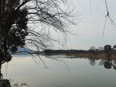 -东湖落雁景区