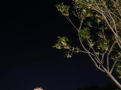 -聚汇三少·龙虾·中餐厅(莫邪路新天地店)