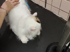 -FAELING PETS美天灵宠物(富力广场店)