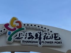 -上海鲜花港