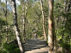 -白草畔自然风景区