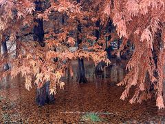 -南京市无想山景区