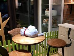 -宠小格时尚宠物生活馆(唐镇店)