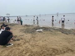 -碧海金沙