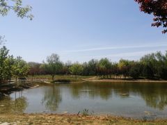 -永定河休闲森林公园