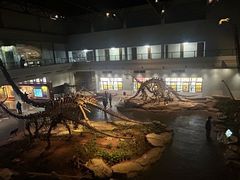 -自贡恐龙博物馆