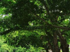 -福州火车站(地铁站)