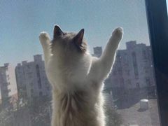 -宠爱有家宠物店(环镇北路店)