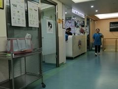 -动物缘宠物医院·骨科·猫科(西二环店)