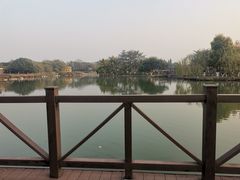 -海珠湖公园