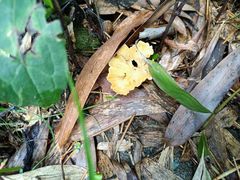 -潜山国家森林公园