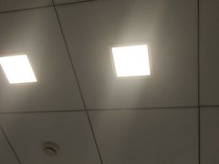 -欢乐牧人蒙古炭烤羊腿(四平路店)