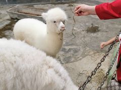 -上海昆虫博物馆