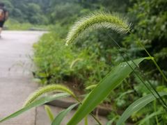 -昆嵛山石门里景区