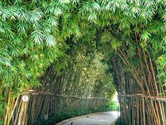 -白鹭洲公园