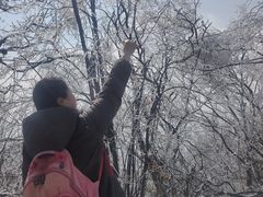 -紫金山山顶公园