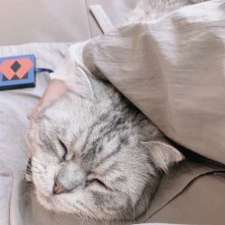 -Hello Lady发型设计