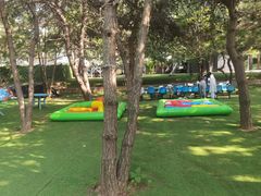 -亲兄弟真人CS团建拓展基地