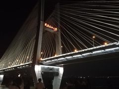 -武汉知音号