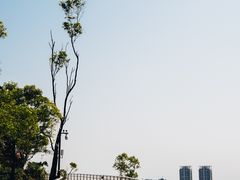 -板樟山森林公园