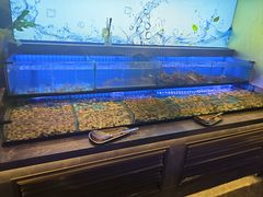 -透明思烤·自助烤肉海鲜火锅(东部星悦天地店)