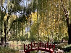 -玲珑塔公园
