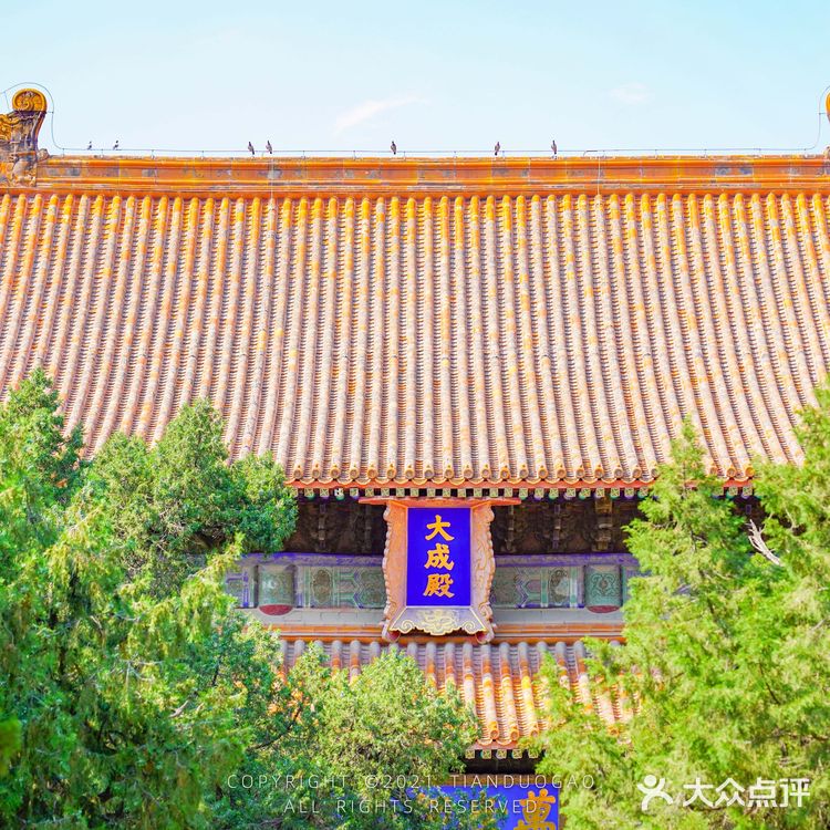 北京小众打卡，故宫后边有一座国子监