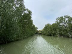 -大湾区中央湿地公园