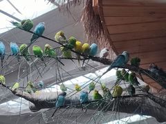 -南宫五洲植物乐园