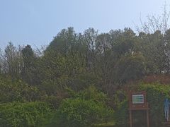 -同里国家湿地公园