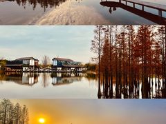 -白鹭湾湿地公园