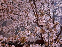 -西北湖绿化广场