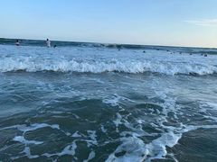 -碧海金沙